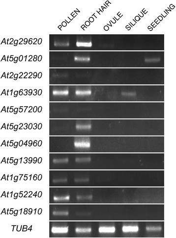 Figure 5