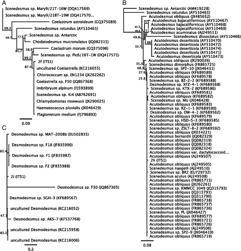 Figure 13