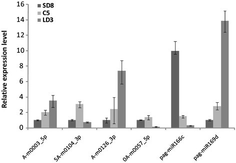 Figure 6