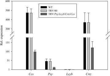 Figure 14