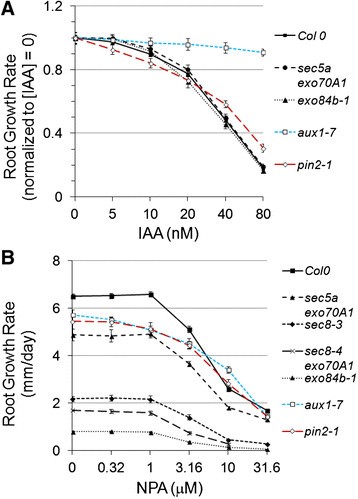 Figure 6