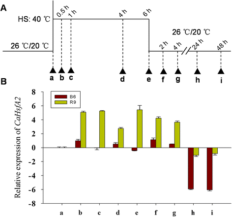 Fig. 8