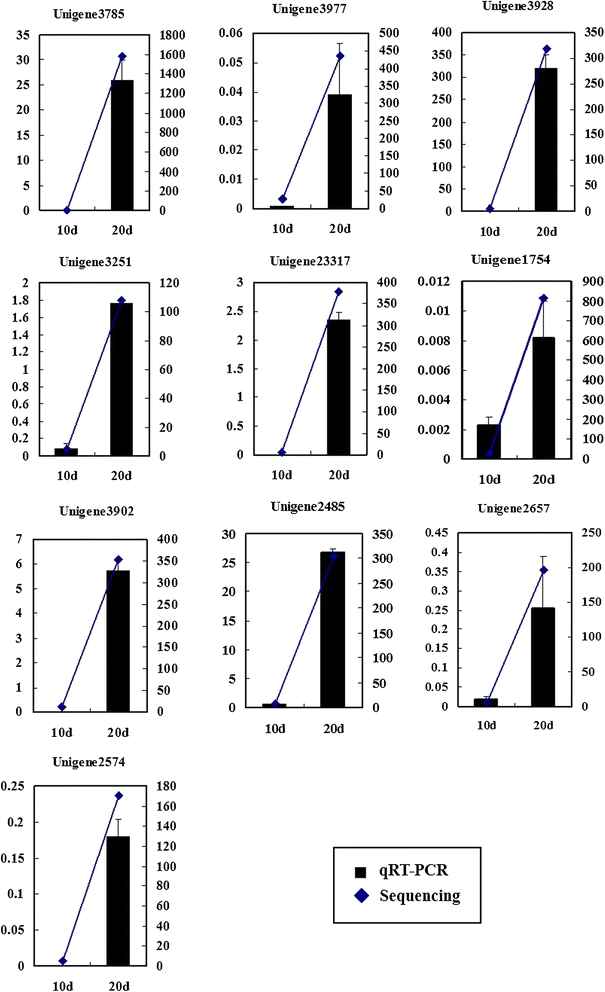 Fig. 8