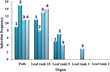 Fig. 4