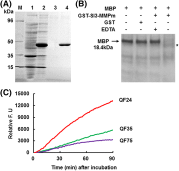 Fig. 10