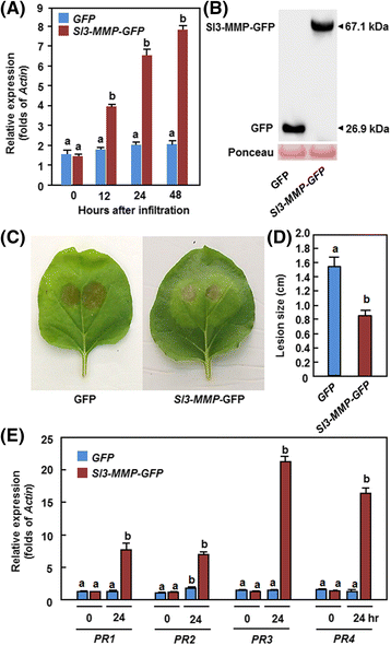 Fig. 9