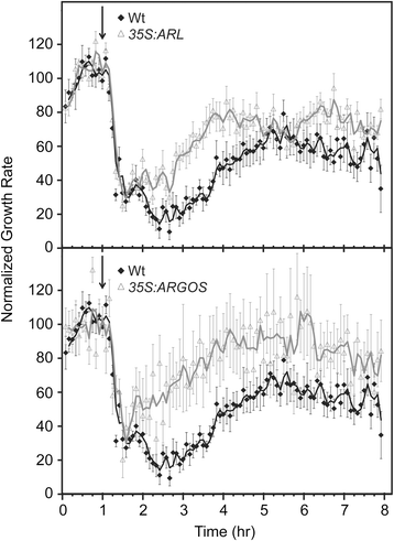 Fig. 7