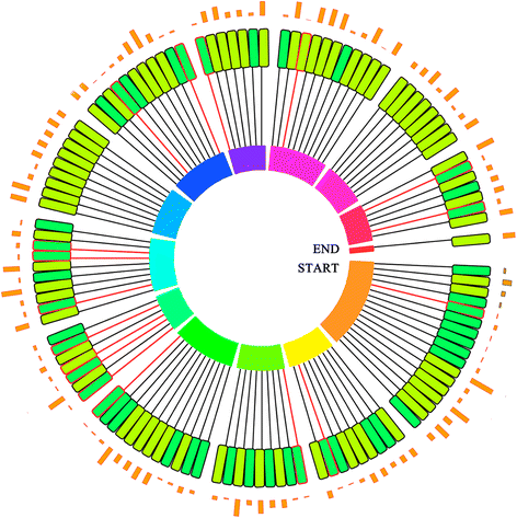 Fig. 4