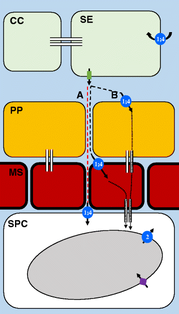 Fig. 10