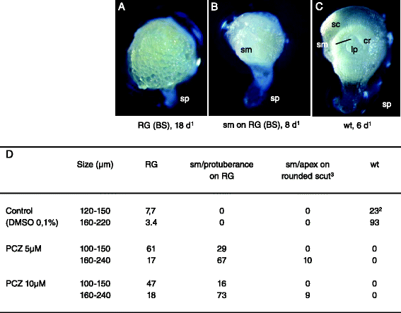 Fig. 10