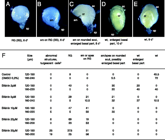 Fig. 11