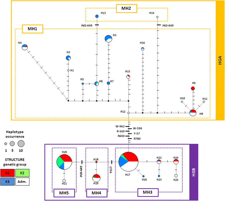 Fig. 3