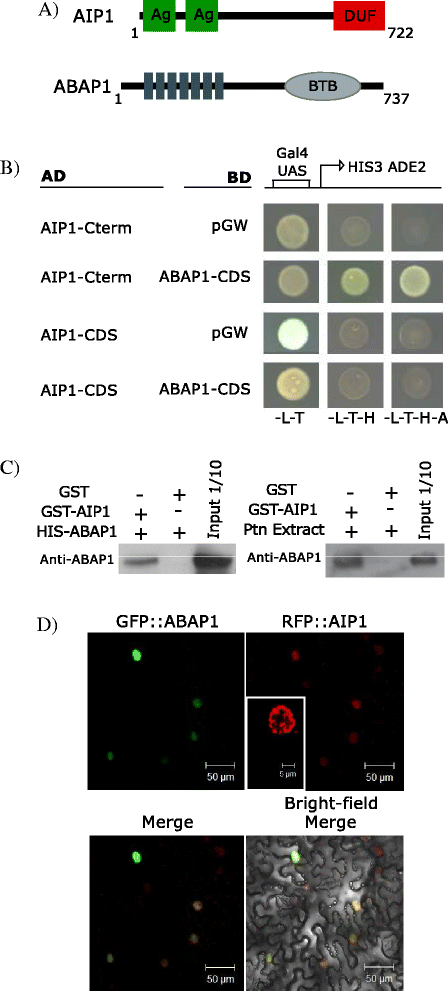 Fig. 5