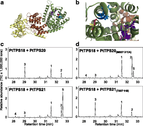 Fig. 5