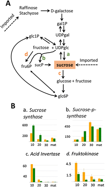 Fig. 7