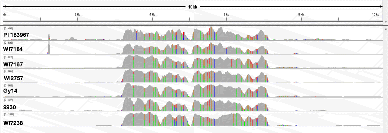 Fig. 7