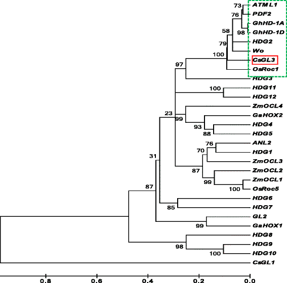 Fig. 8