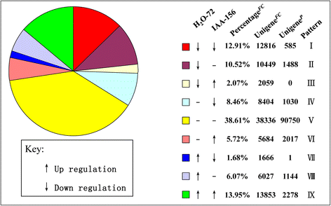 Fig. 9