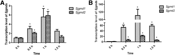 Fig. 7