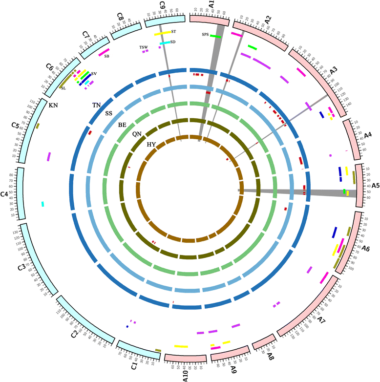 Fig. 4