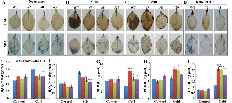 Fig. 8