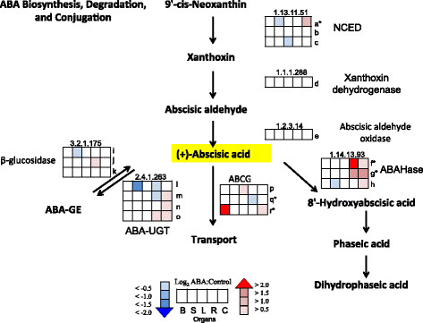 Fig. 2