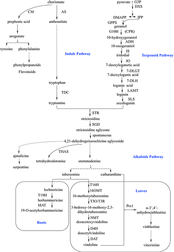 Fig. 1