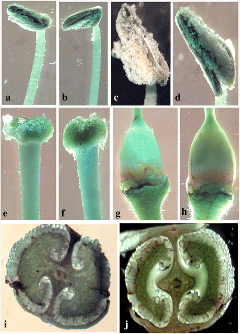 Fig. 10