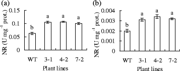 Fig. 7