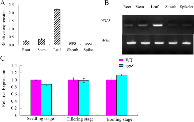 Fig. 10