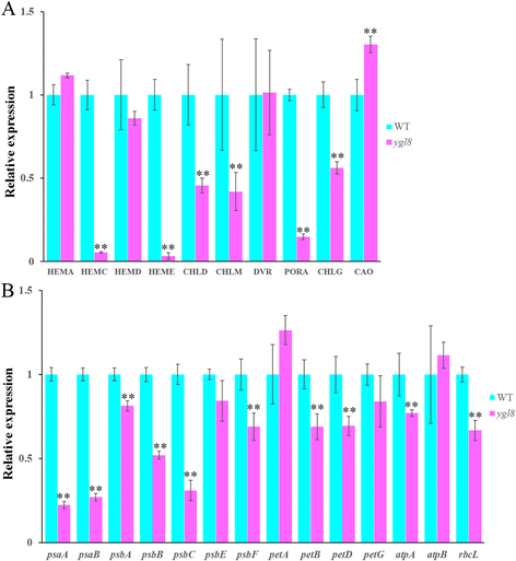 Fig. 11