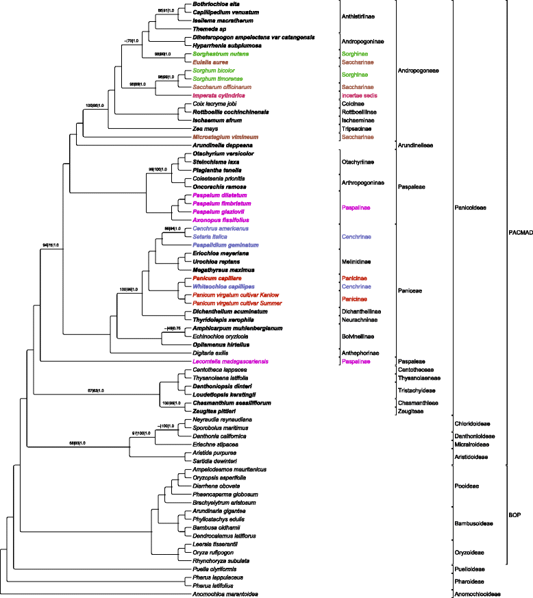 Fig. 2