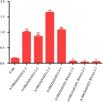 Fig. 4