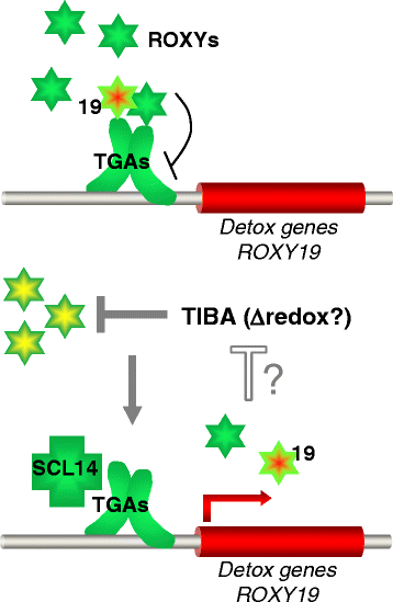 Fig. 7