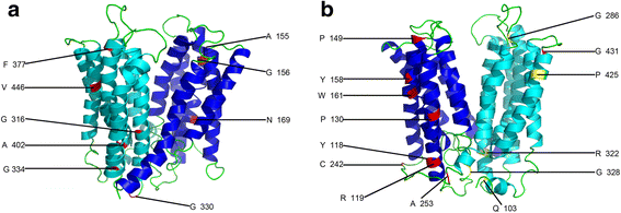 Fig. 7