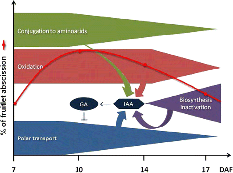 Fig. 9