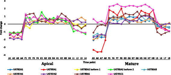 Fig. 11