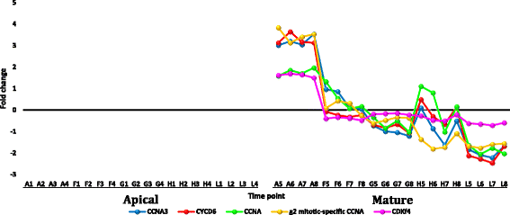 Fig. 7