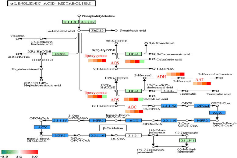 Fig. 11