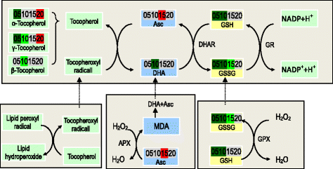 Fig. 8