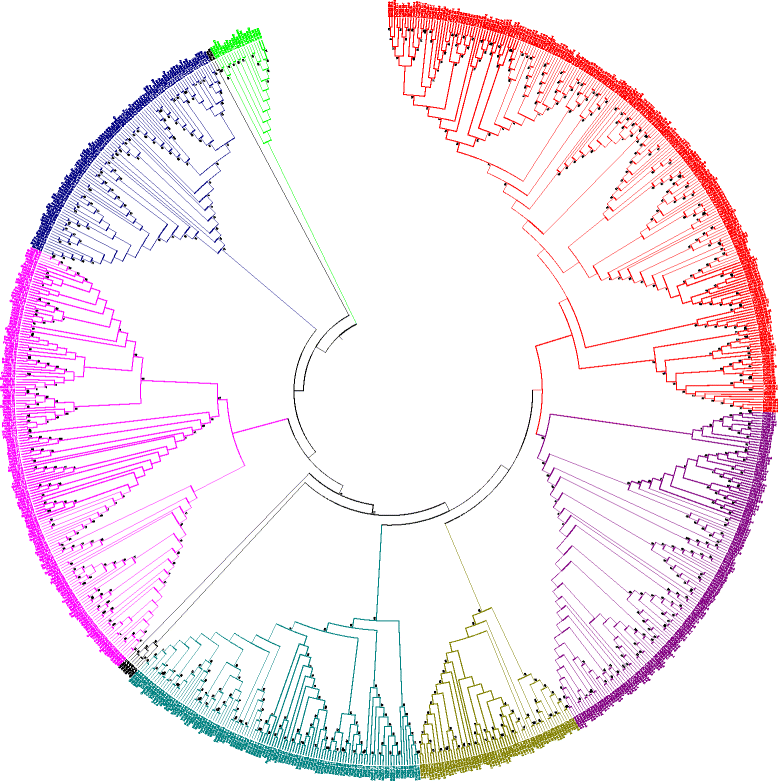 Fig. 8