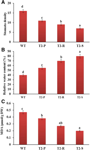 Fig. 10