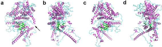 Fig. 8