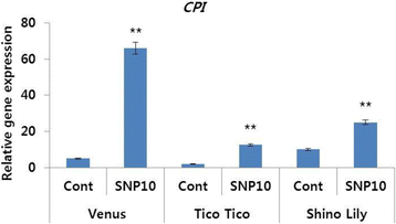 Fig. 9