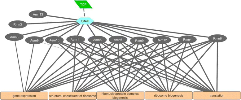 Fig. 11