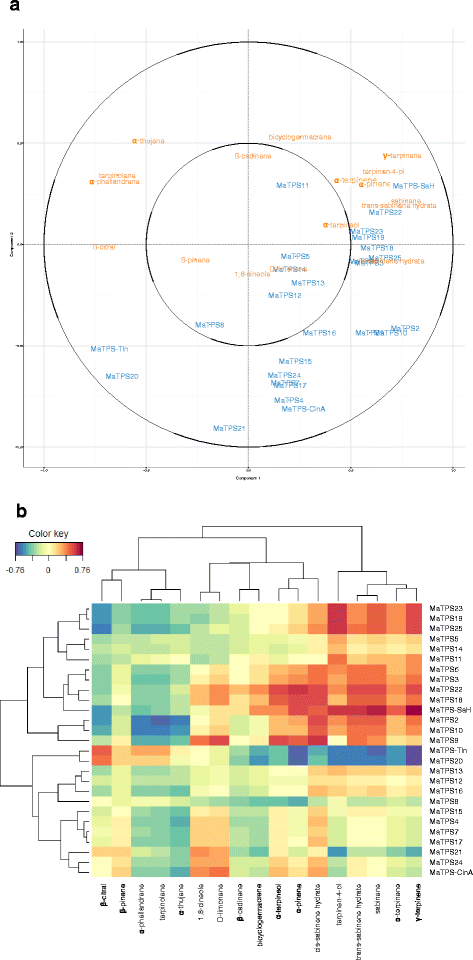 Fig. 4