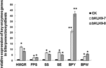 Fig. 10