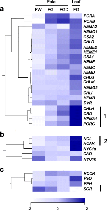 Fig. 4