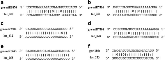 Fig. 8