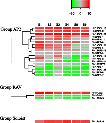 Fig. 7